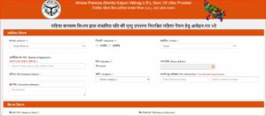 Vidhwa Pension Yojana Online 